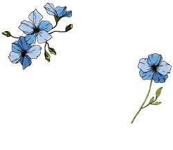 JL Bien-être - Réflexologie Francheville